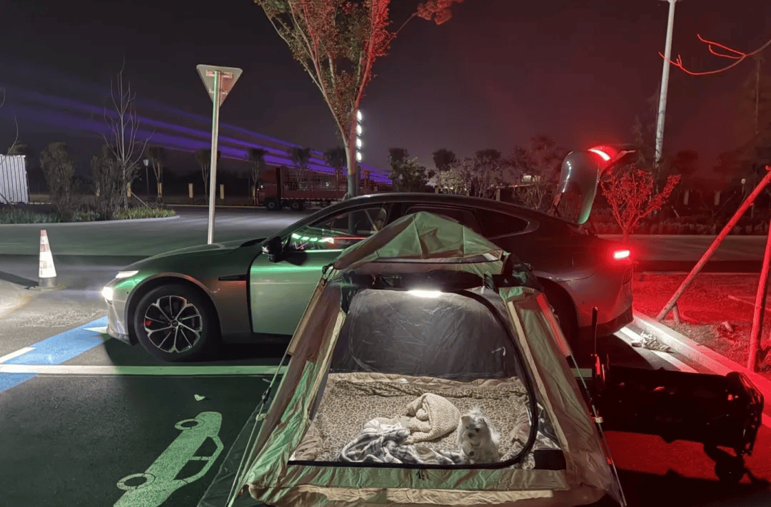 期间年轻人旅行掀起“帐篷过夜”热潮不朽情缘模拟器不住酒店住帐篷！国庆(图3)